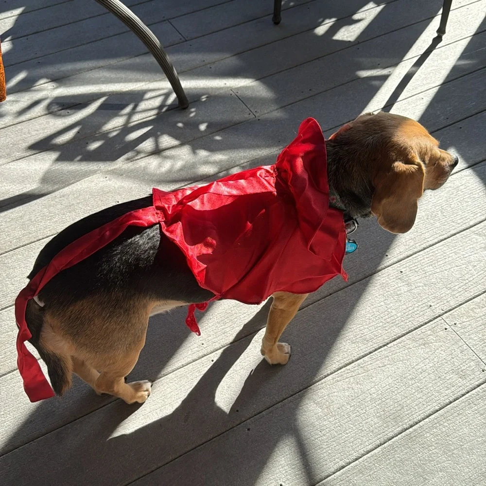 Small/medium DWF brand Devil Dog Costumes Halloween